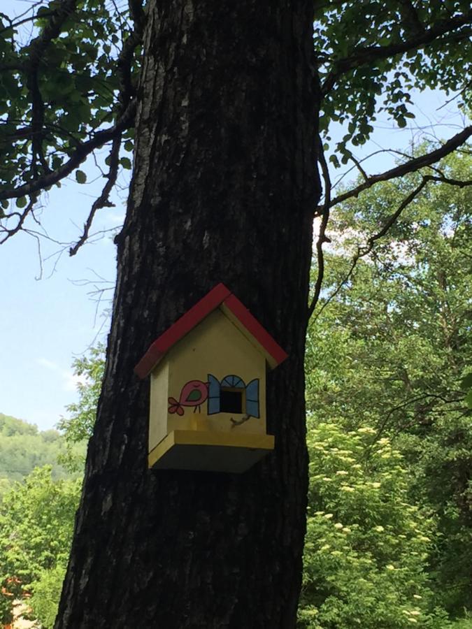 Eco kutak Villa Mojkovac Bagian luar foto