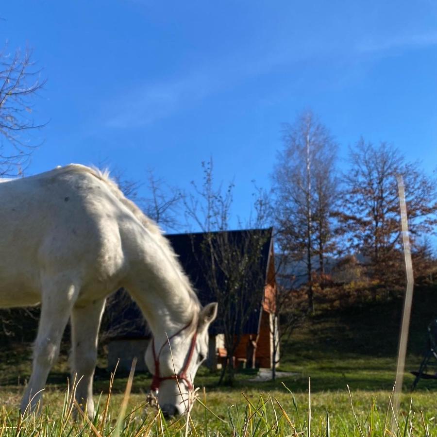 Eco kutak Villa Mojkovac Bagian luar foto