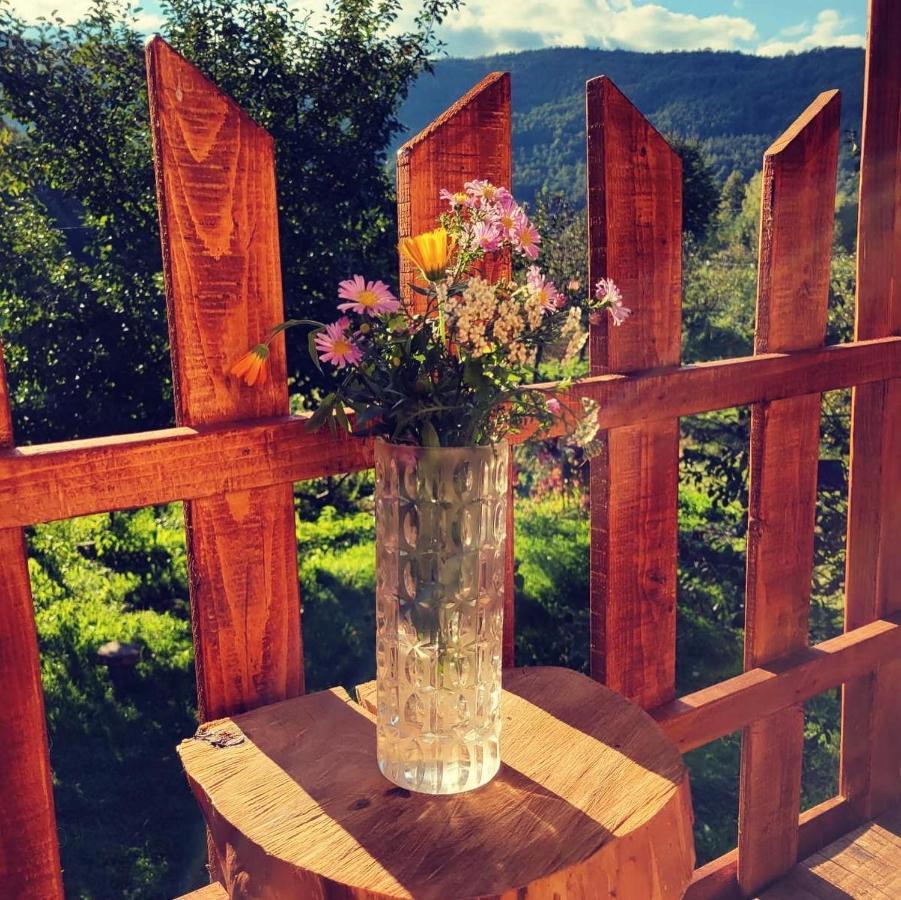 Eco kutak Villa Mojkovac Bagian luar foto