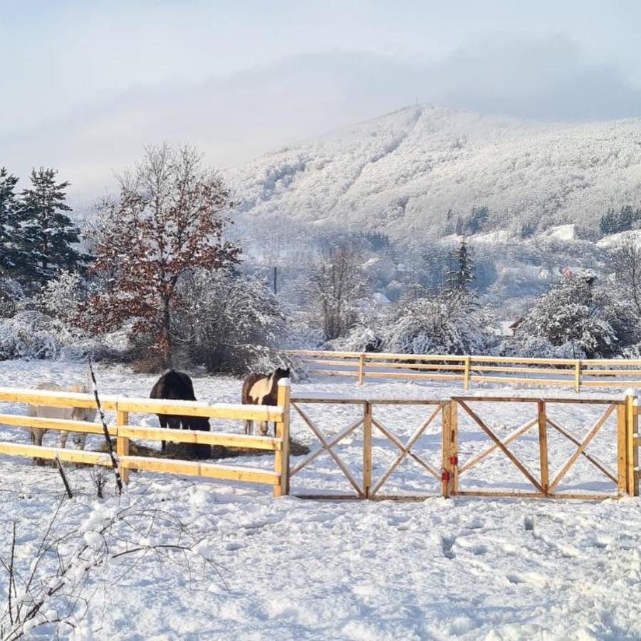 Eco kutak Villa Mojkovac Bagian luar foto